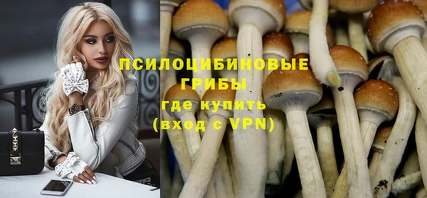 прущие крисы Алексин